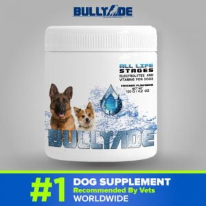 Home remedies to cure parvo in puppies shop
